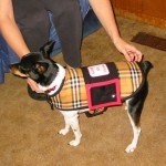 DogVests 012